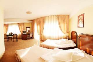 Отель Hotel Premier Клуж-Напока Стандартный двухместный номер с 2 отдельными кроватями-13